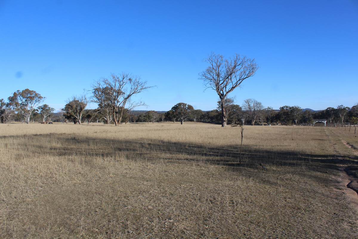 2087 Rabbit Fence Road, Passchendaele For Sale by Farmbuy.com - image 2