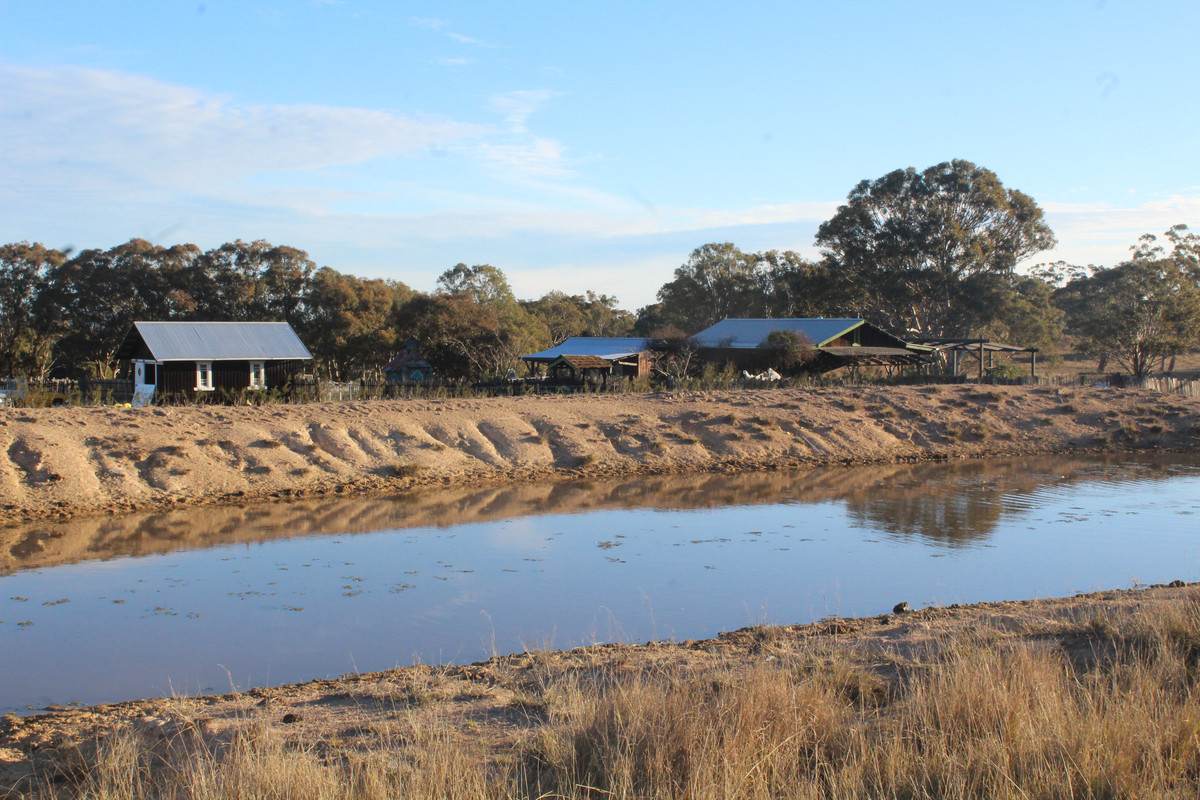 2087 Rabbit Fence Road, Passchendaele For Sale by Farmbuy.com - image 10