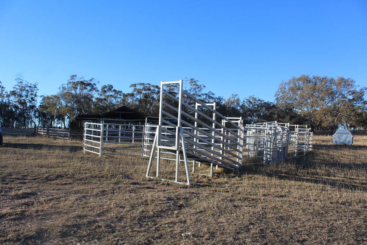 2087 Rabbit Fence Road, Passchendaele For Sale by Farmbuy.com - image 24