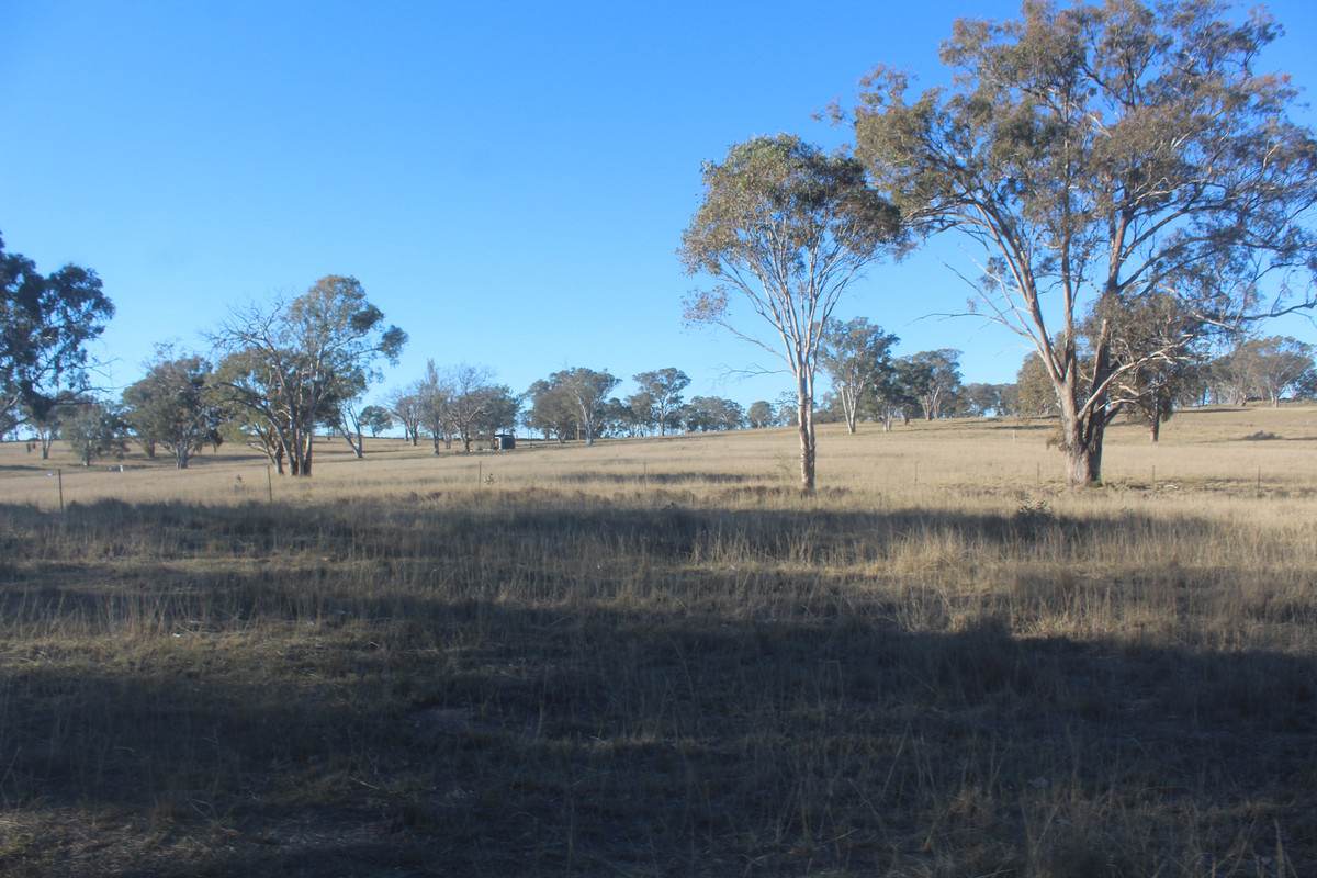 2087 Rabbit Fence Road, Passchendaele For Sale by Farmbuy.com - image 3