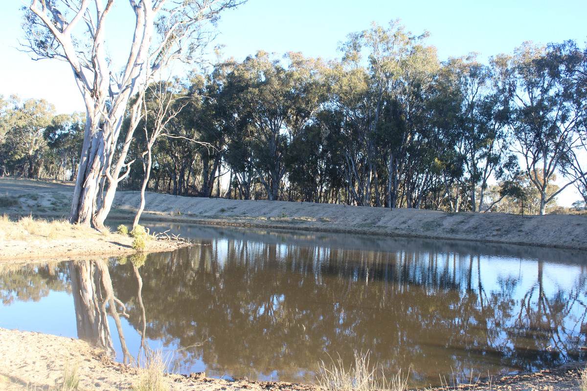 2087 Rabbit Fence Road, Passchendaele For Sale by Farmbuy.com - image 34