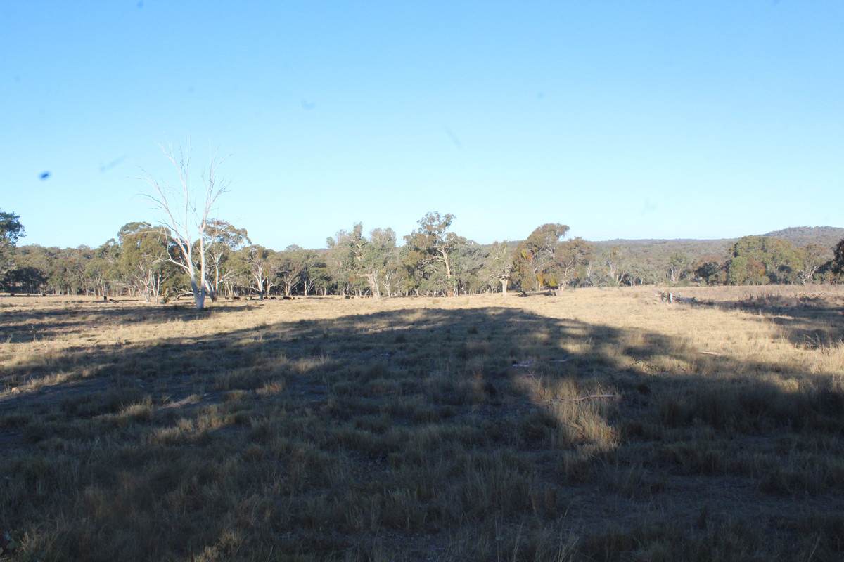 2087 Rabbit Fence Road, Passchendaele For Sale by Farmbuy.com - image 32