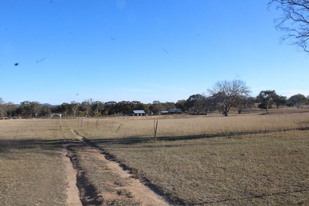 2087 Rabbit Fence Road, Passchendaele For Sale by Farmbuy.com - image 8