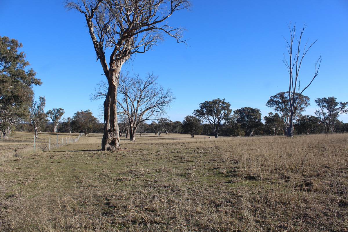 2087 Rabbit Fence Road, Passchendaele For Sale by Farmbuy.com - image 19