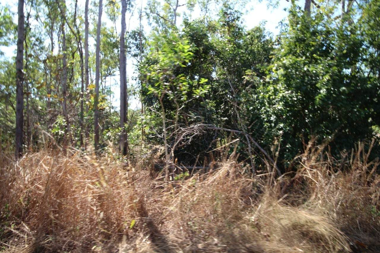 8 Pak Place, Wagait Beach For Sale by Farmbuy.com - image 4
