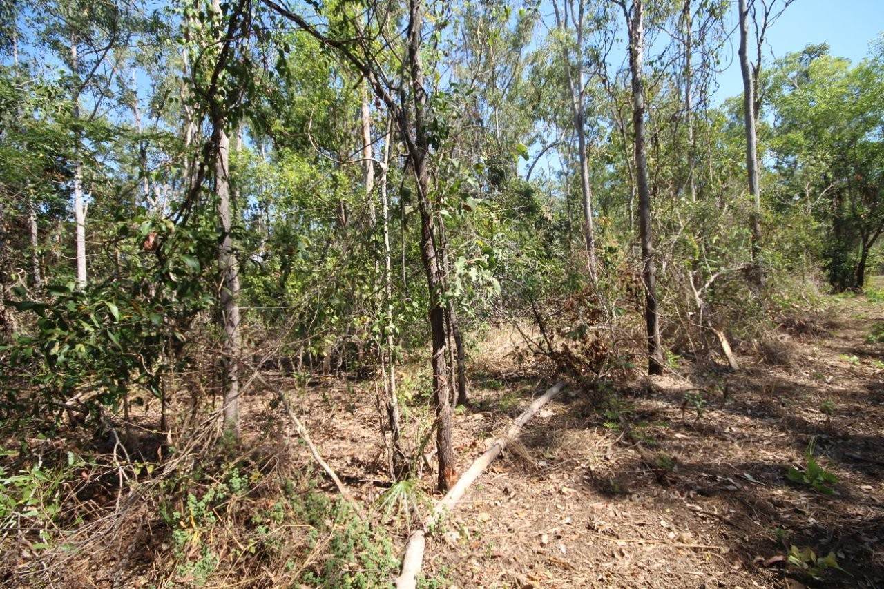 8 Pak Place, Wagait Beach For Sale by Farmbuy.com - image 7