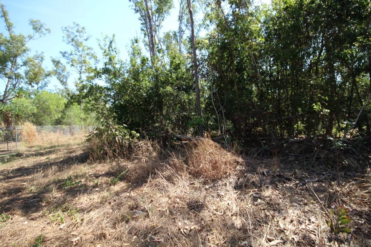 8 Pak Place, Wagait Beach For Sale by Farmbuy.com - image 5