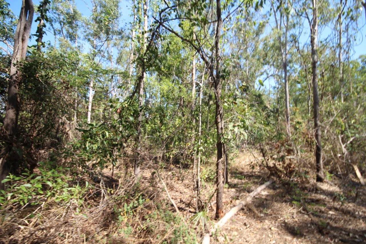 8 Pak Place, Wagait Beach For Sale by Farmbuy.com - image 6