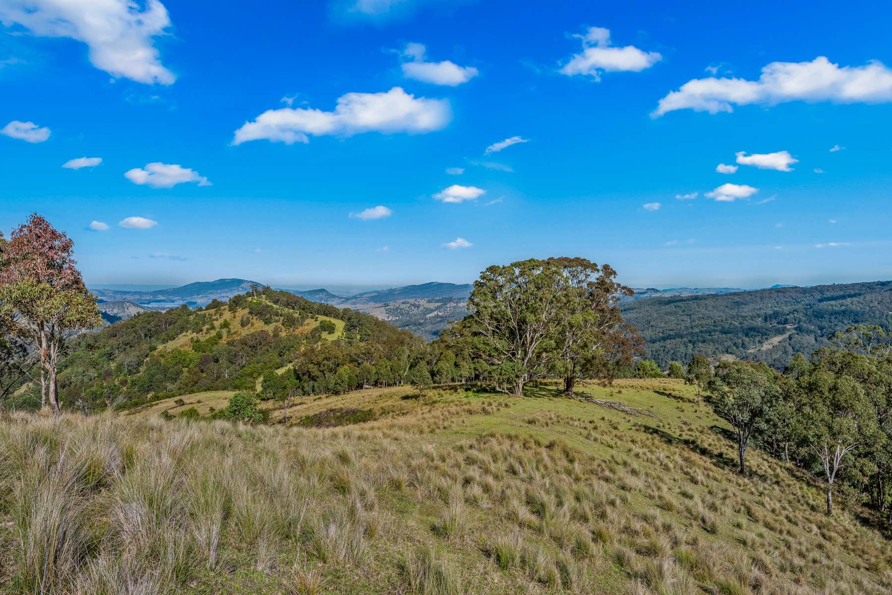 Lot 88 Off Carrowbrook Road, Singleton For Sale by Farmbuy.com - image 20
