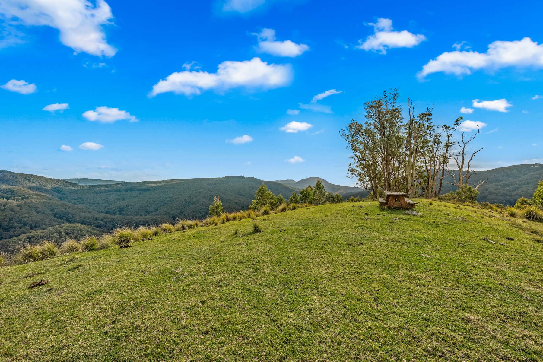 Lot 88 Off Carrowbrook Road, Singleton For Sale by Farmbuy.com - image 24