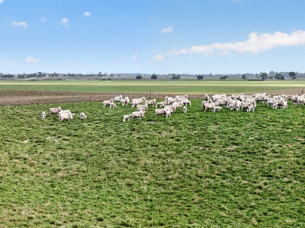 'Folly Farm' Riddell Road, Meningie SA 5264