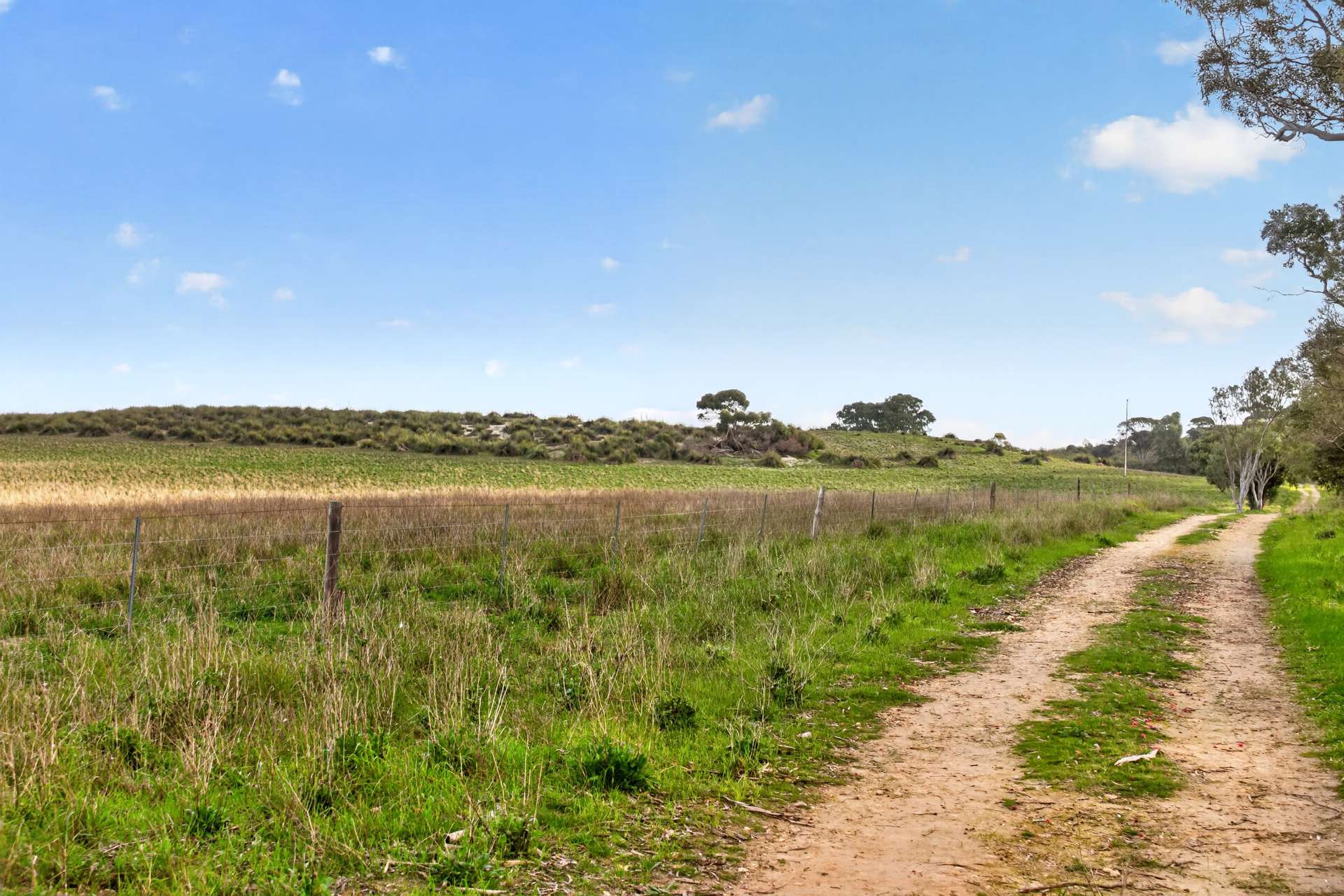 'Folly Farm' Riddell Road, Meningie Auction by Farmbuy.com - image 9
