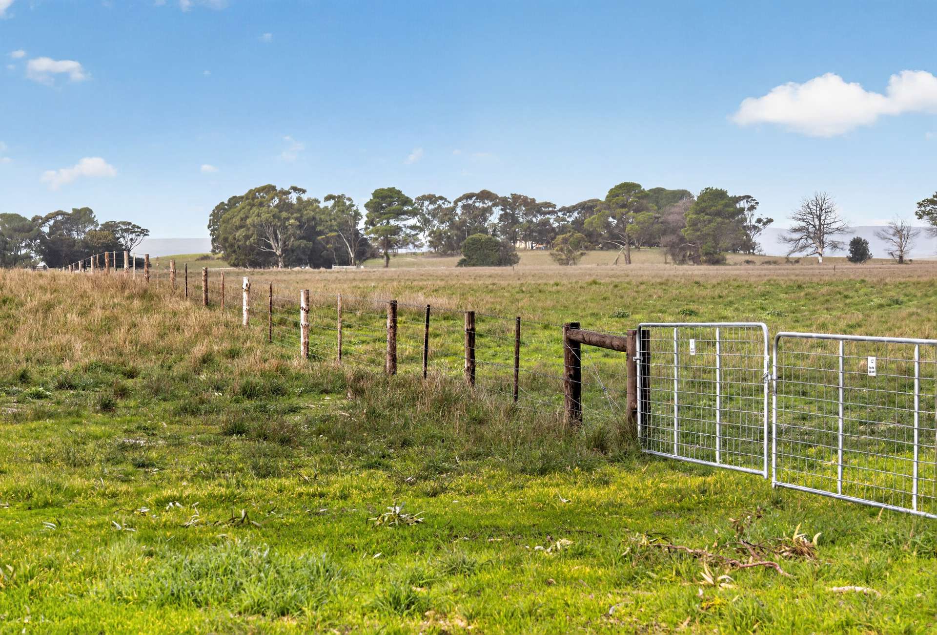 'Folly Farm' Riddell Road, Meningie Auction by Farmbuy.com - image 5