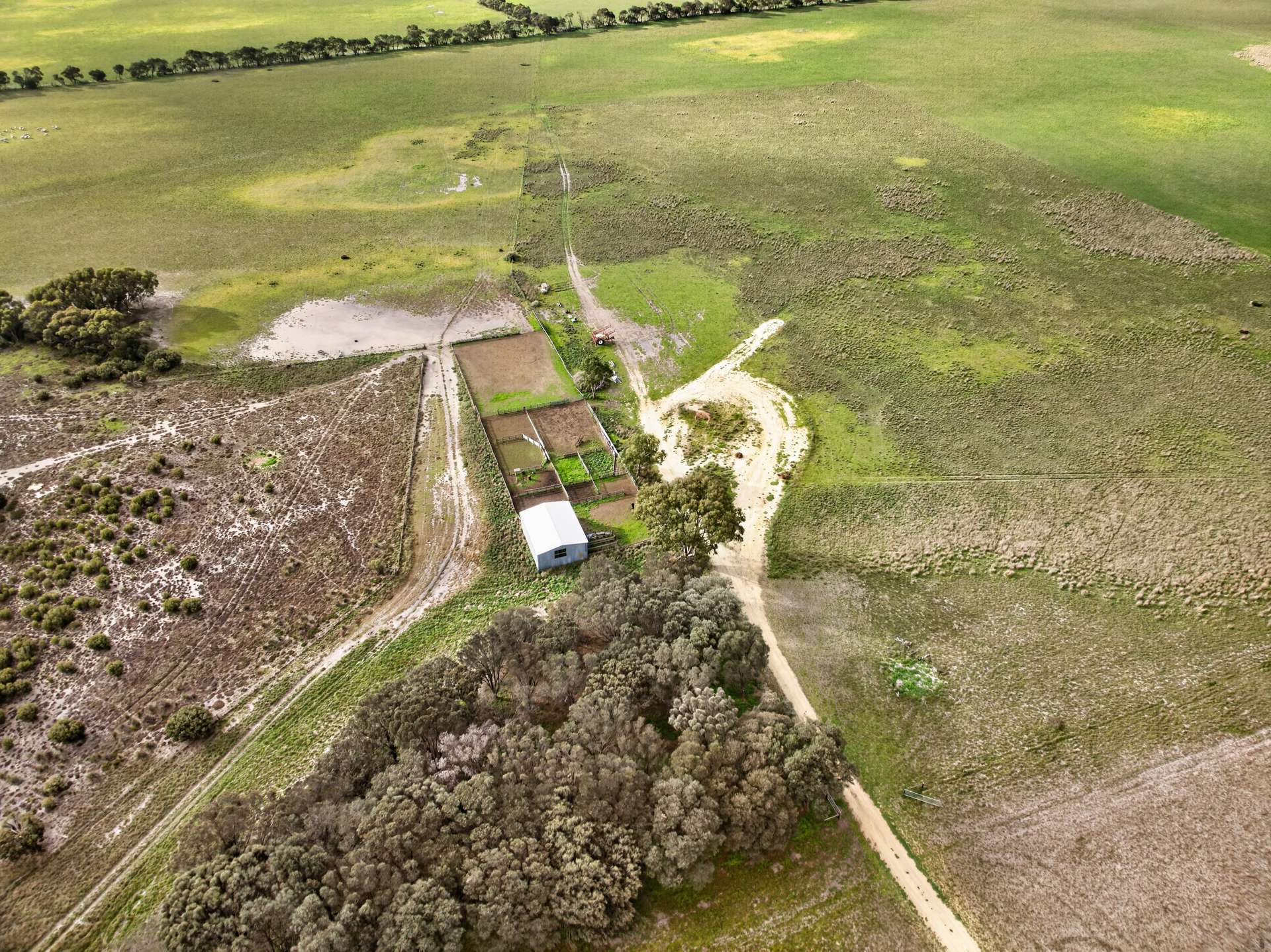 'Folly Farm' Riddell Road, Meningie Auction by Farmbuy.com - image 10
