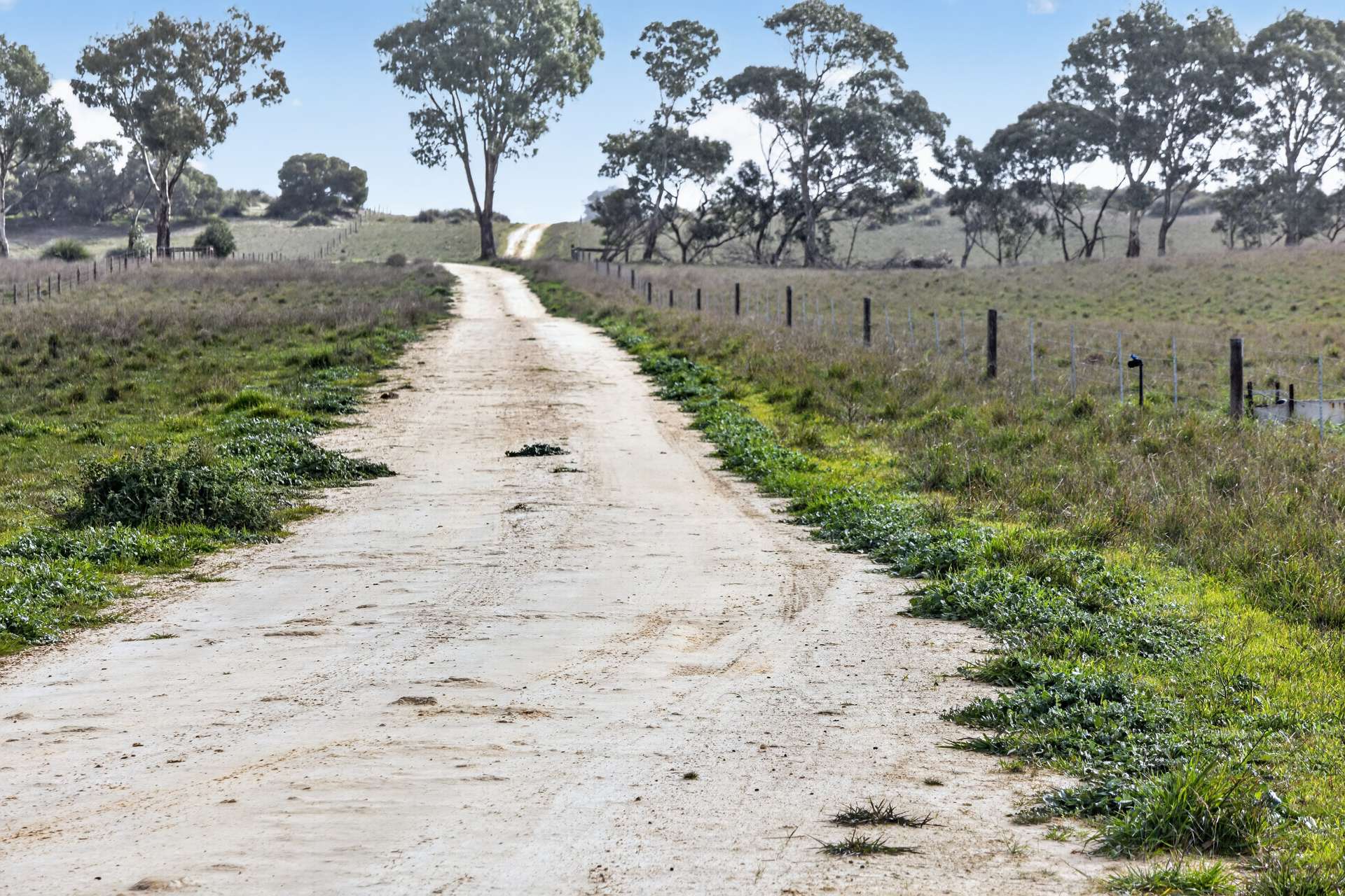 'Folly Farm' Riddell Road, Meningie Auction by Farmbuy.com - image 6