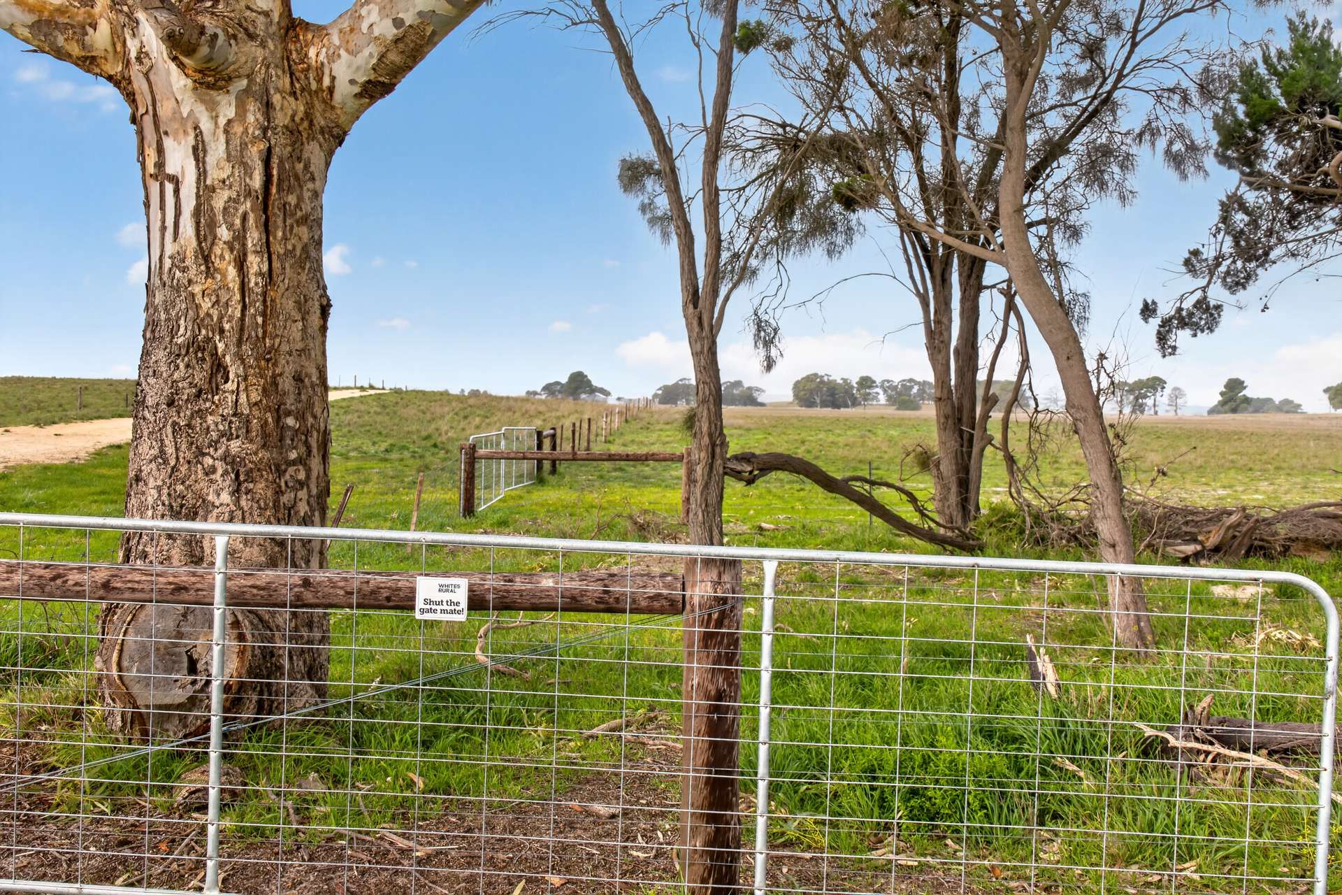 'Folly Farm' Riddell Road, Meningie Auction by Farmbuy.com - image 13