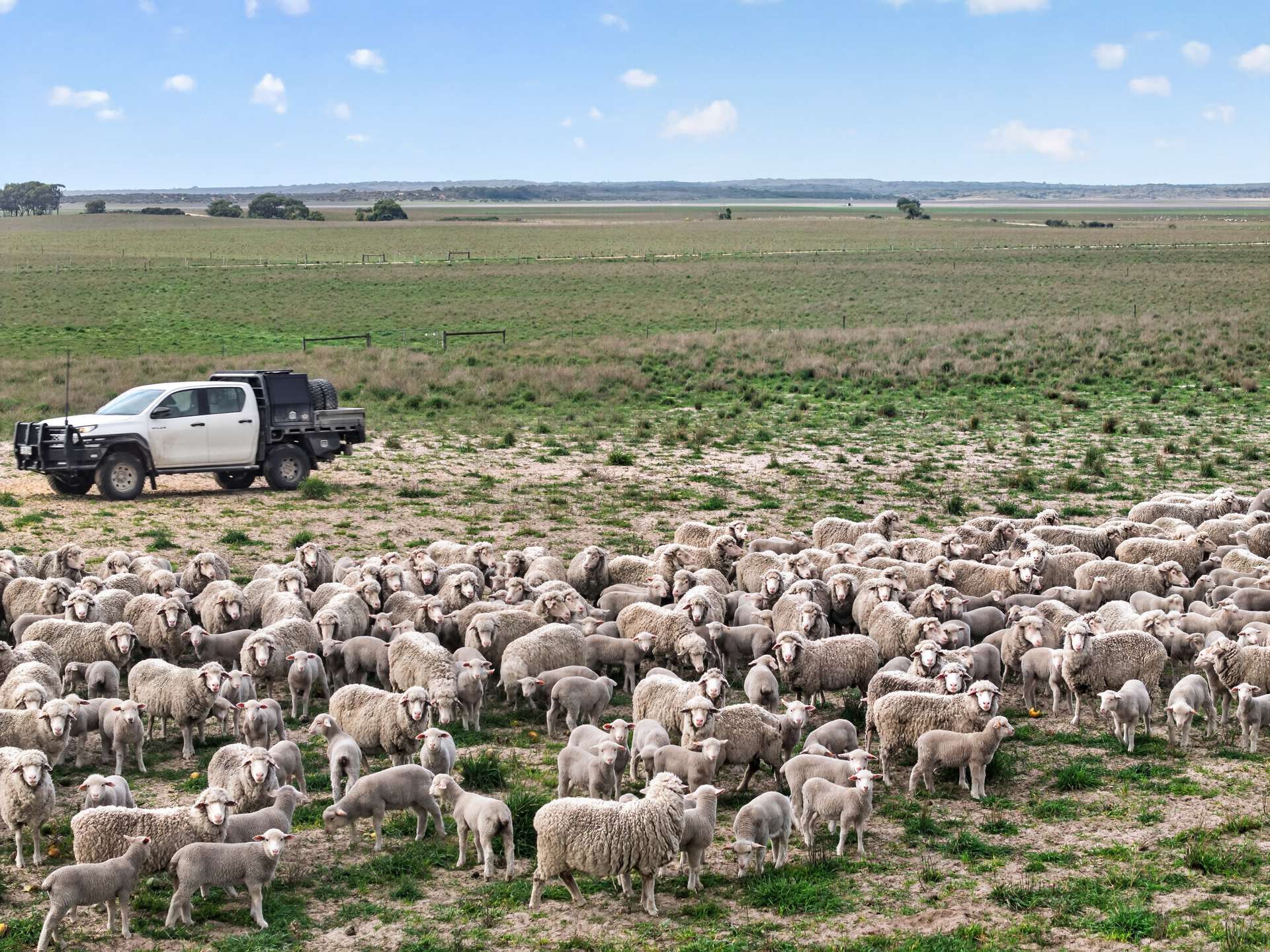 'Folly Farm' Riddell Road, Meningie Auction by Farmbuy.com - image 15