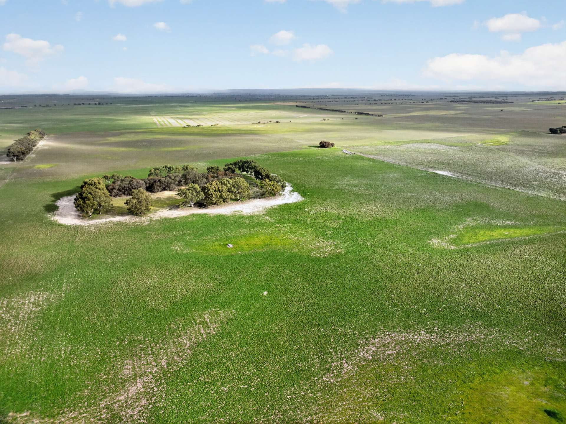 'Folly Farm' Riddell Road, Meningie Auction by Farmbuy.com - image 8