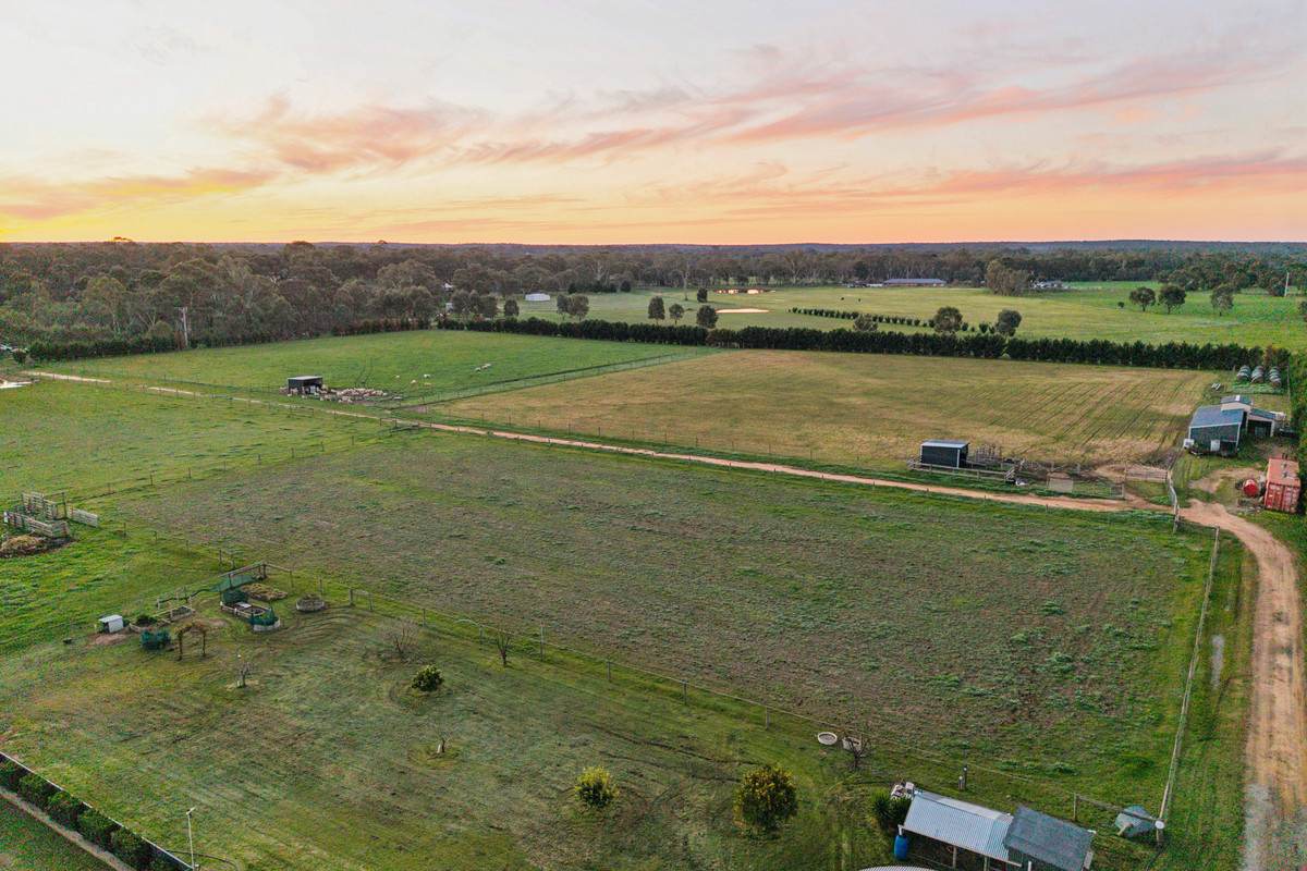 1703 McIvor Highway, Longlea For Sale by Farmbuy.com - image 2