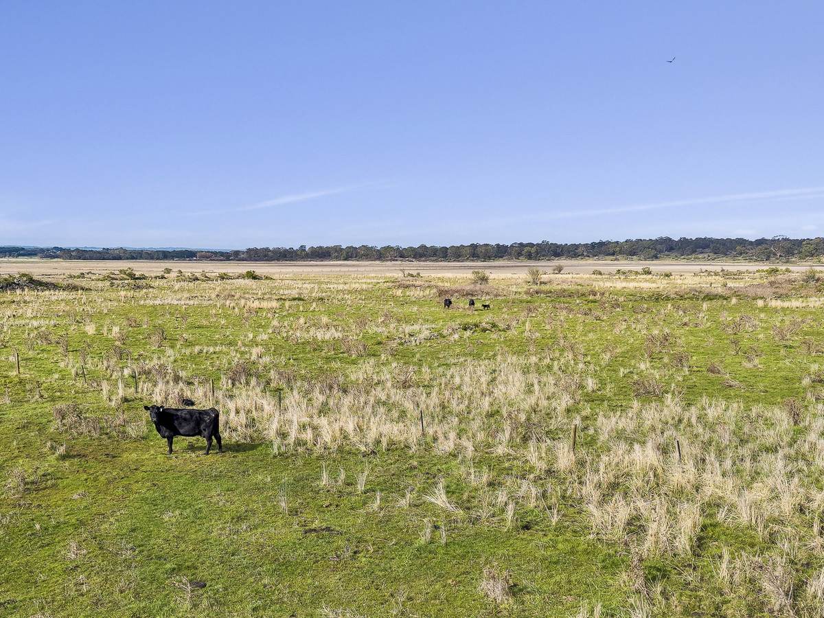1351 Hawks Nest Road, Pirron Yallock For Sale by Farmbuy.com - image 11