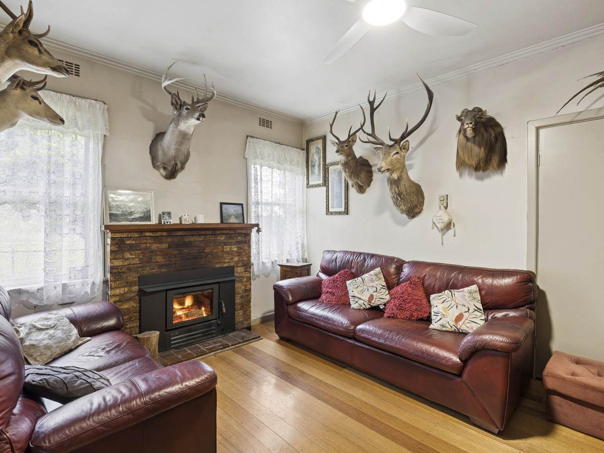 1351 Hawks Nest Road, Pirron Yallock For Sale by Farmbuy.com - image 16