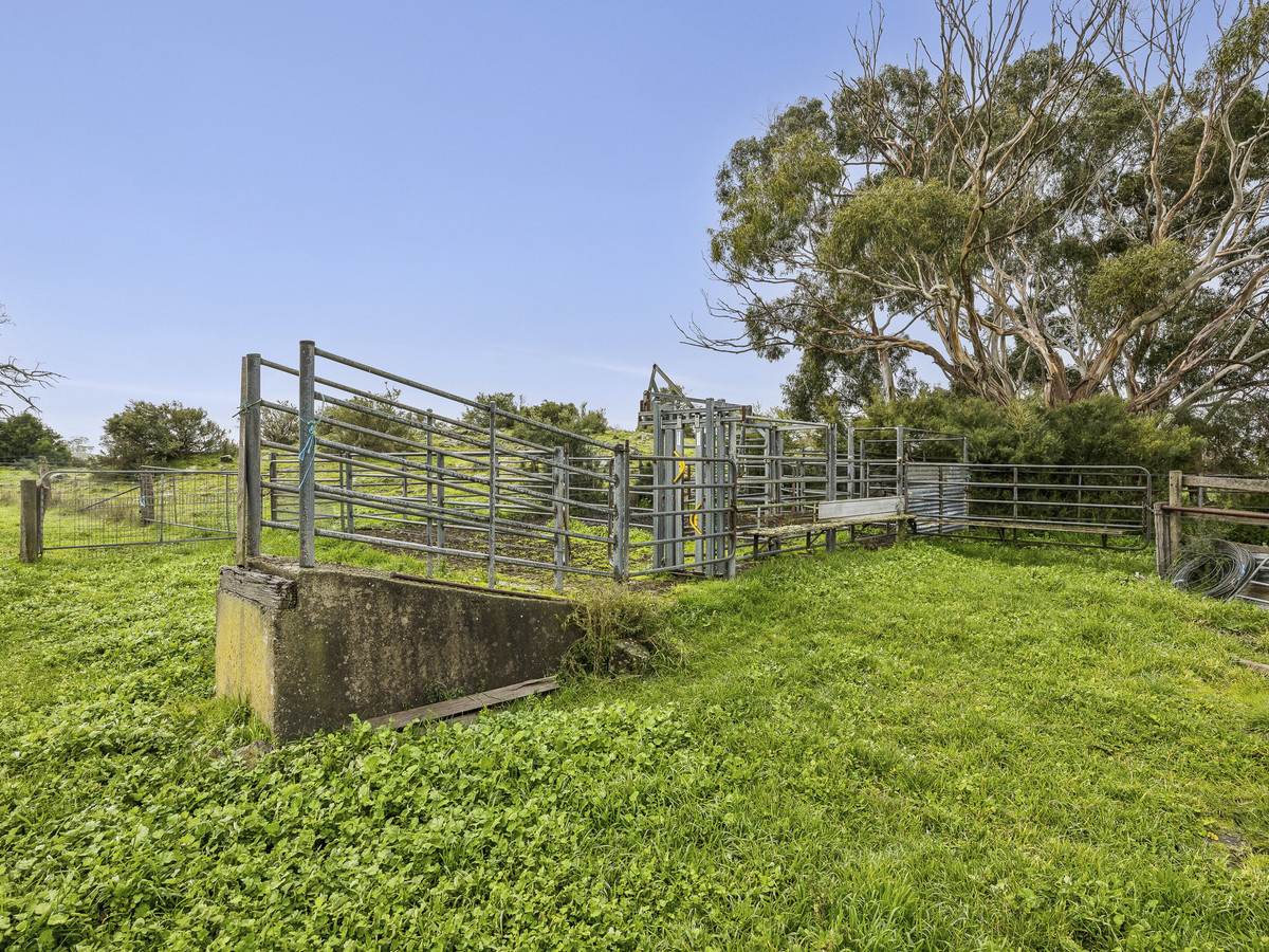 1351 Hawks Nest Road, Pirron Yallock For Sale by Farmbuy.com - image 7