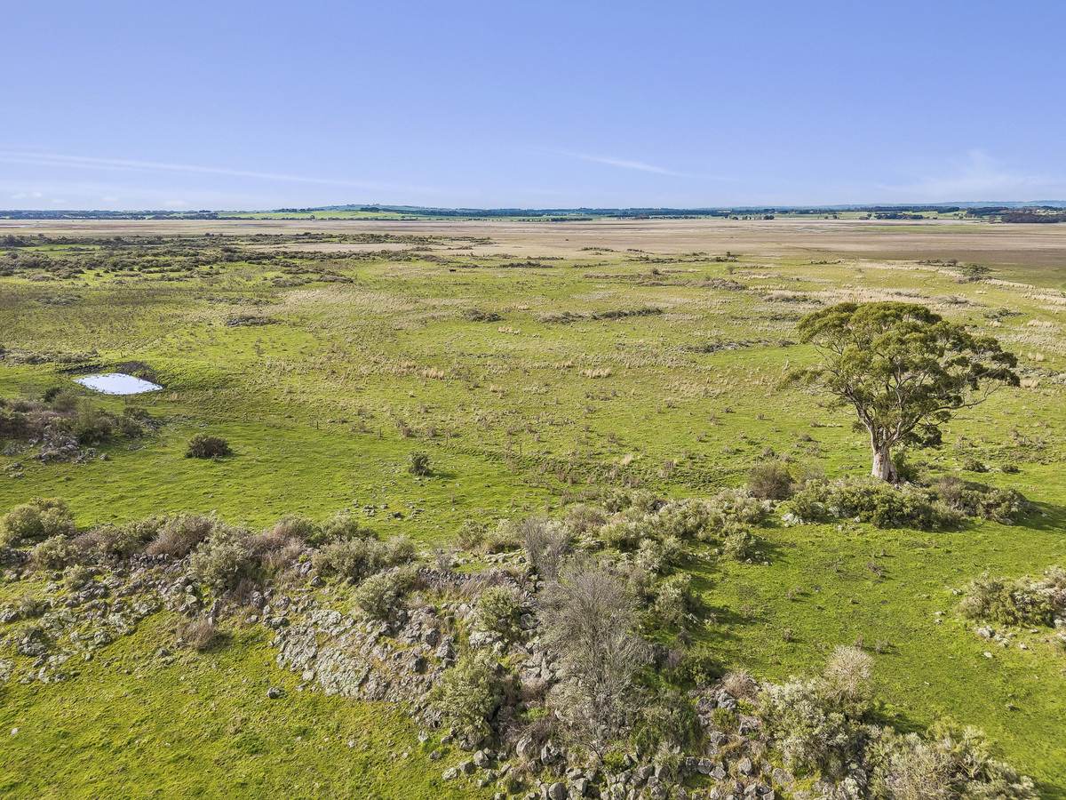 1351 Hawks Nest Road, Pirron Yallock For Sale by Farmbuy.com - image 5