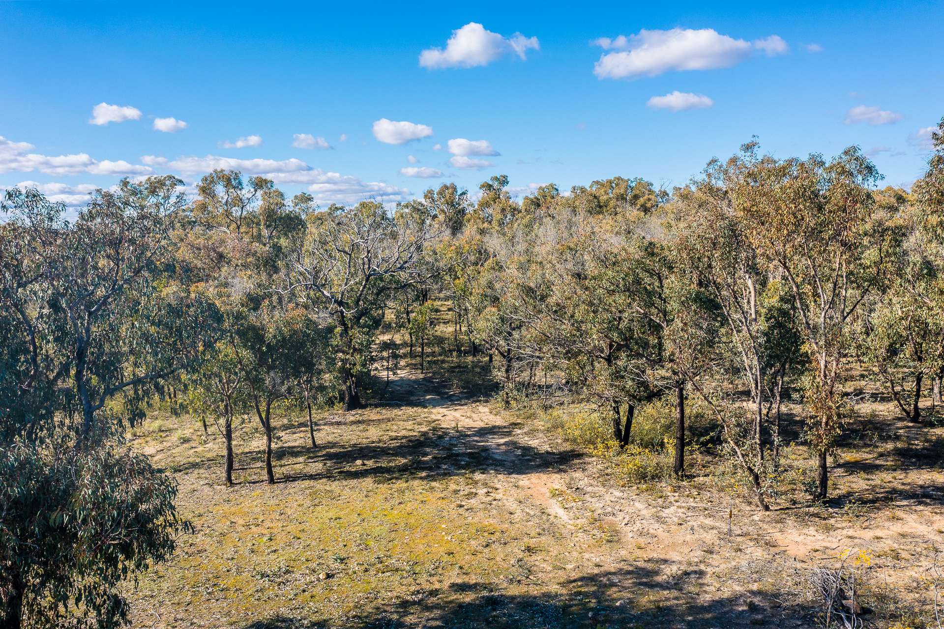 5944 Hill End Road, Mudgee For Sale by Farmbuy.com - image 14