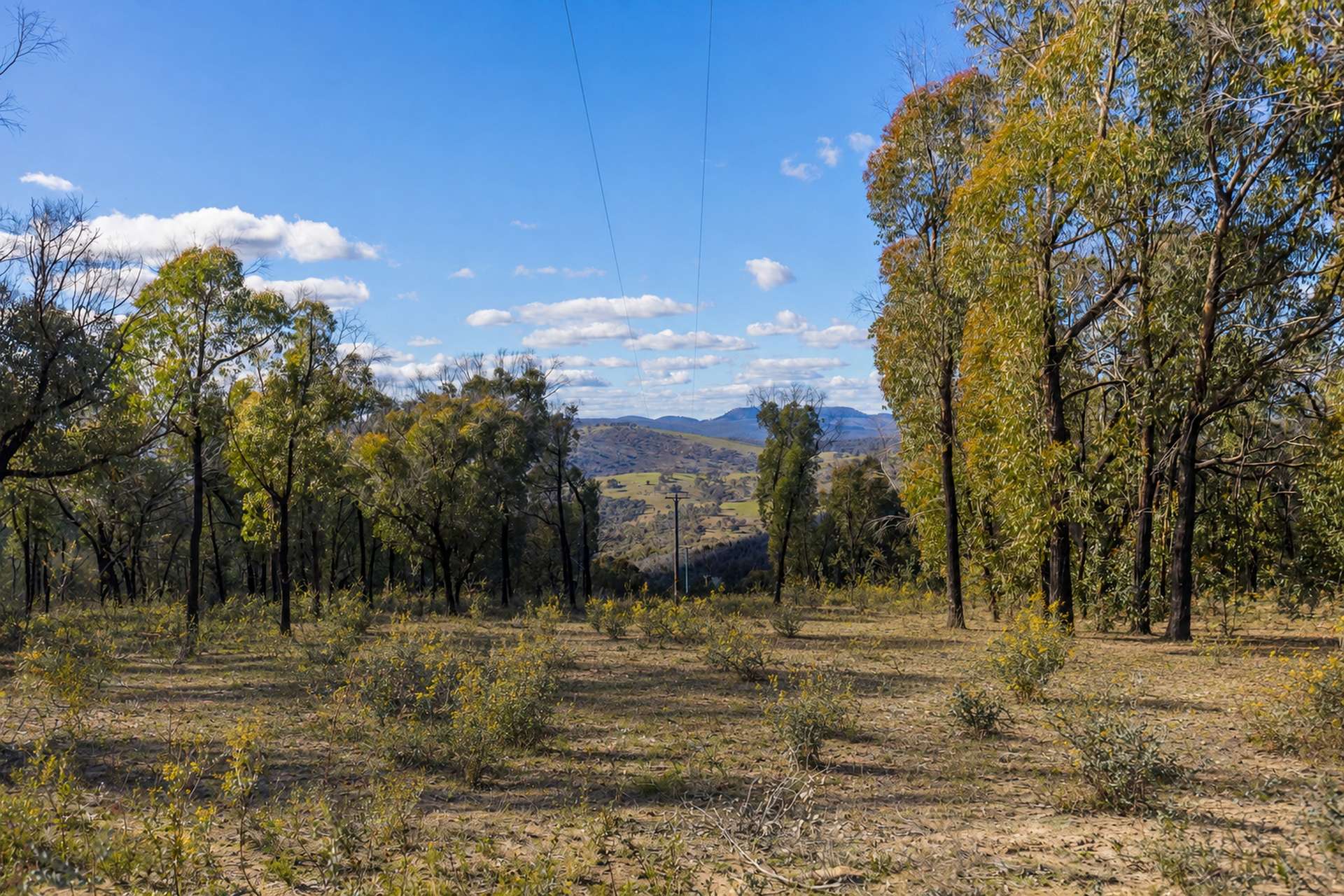 5944 Hill End Road, Mudgee For Sale by Farmbuy.com - image 11