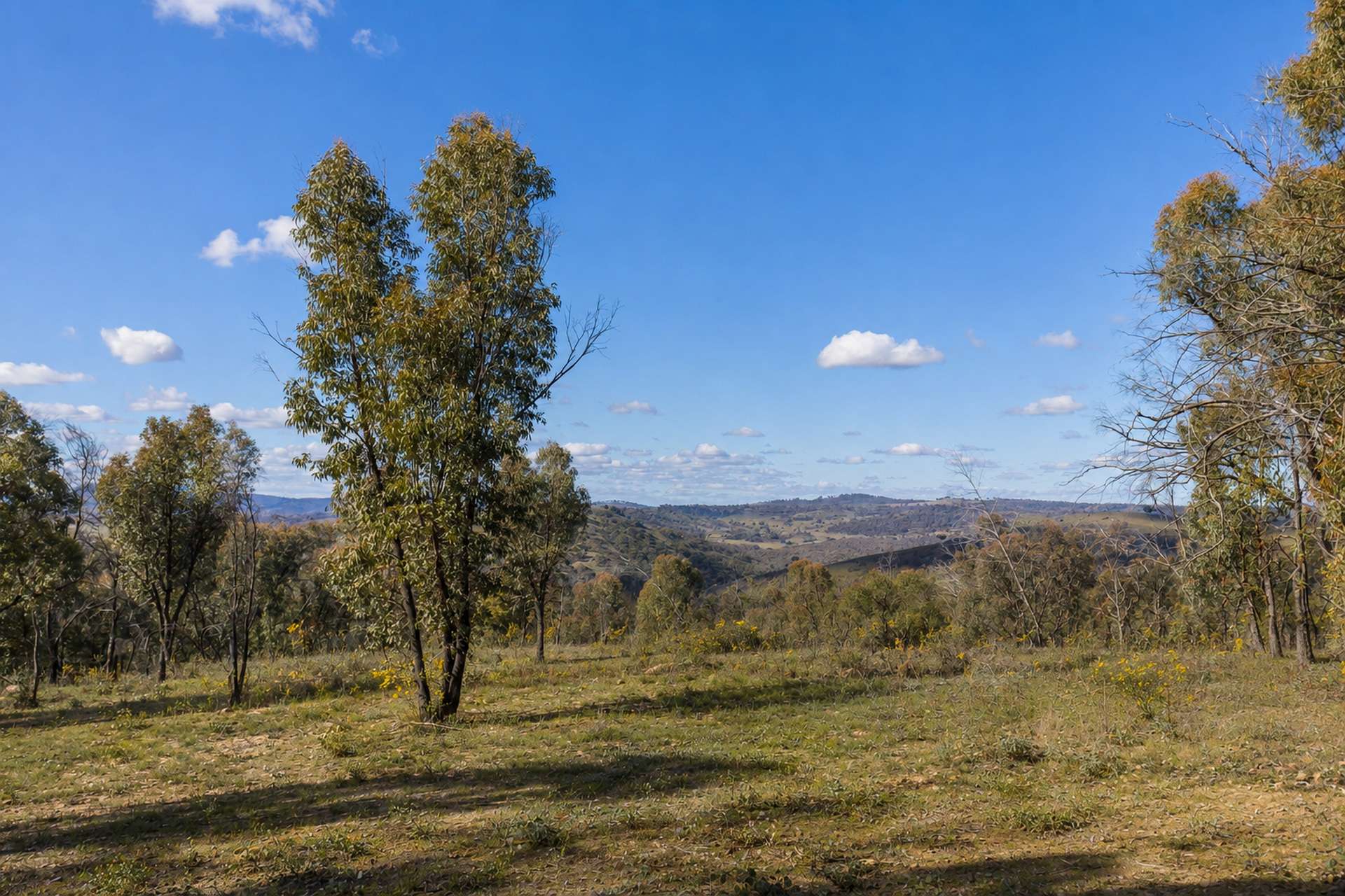 5944 Hill End Road, Mudgee For Sale by Farmbuy.com - image 1
