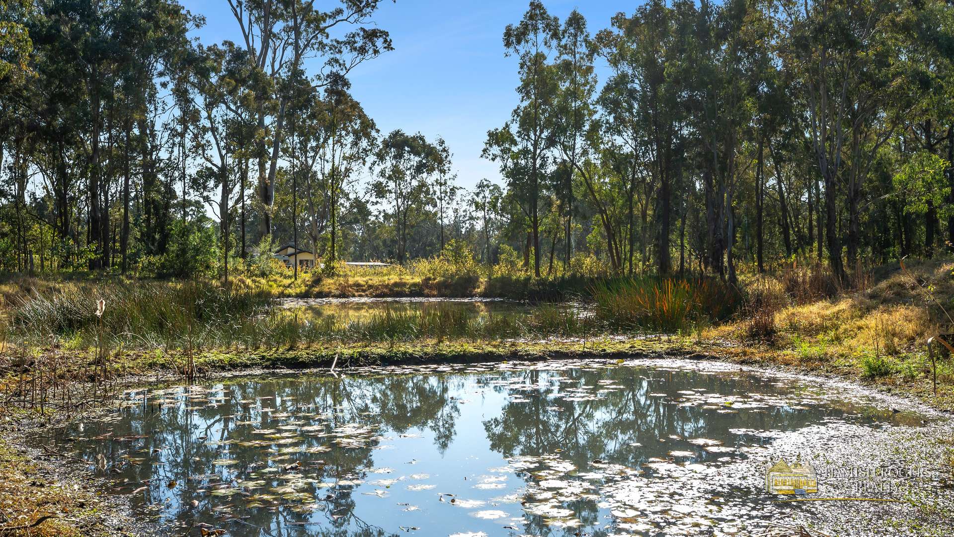 53 Millers Road, Cattai For Sale by Farmbuy.com - image 3