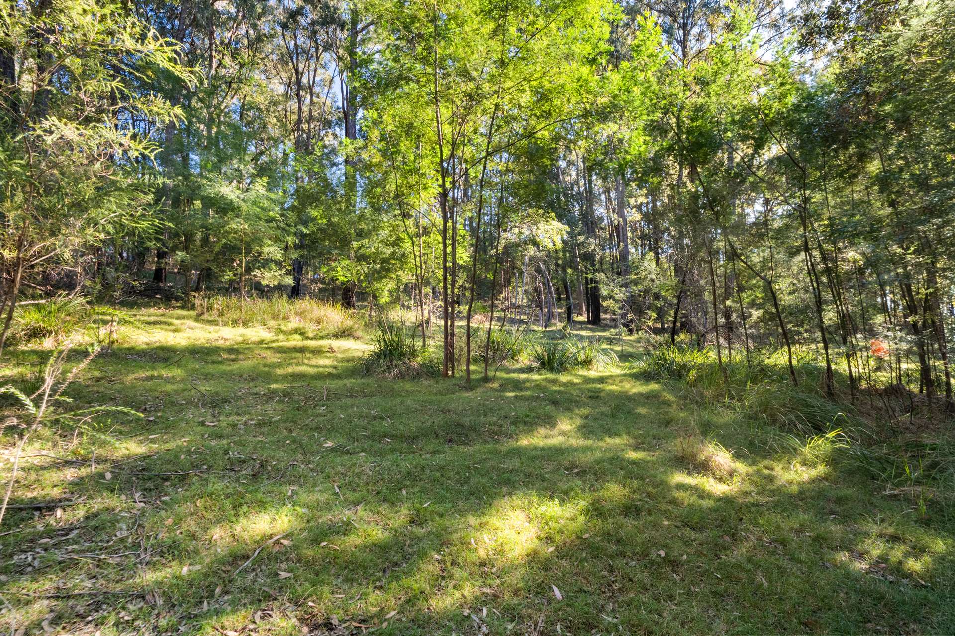 3085 Putty Road, Colo Heights For Sale by Farmbuy.com - image 16