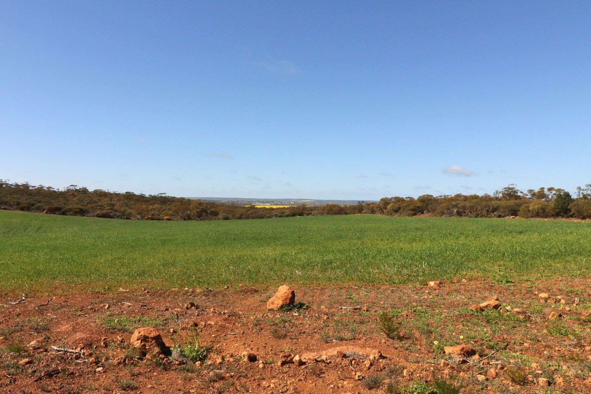 3042 Wilding Road, Wongan Hills For Sale by Farmbuy.com - image 6