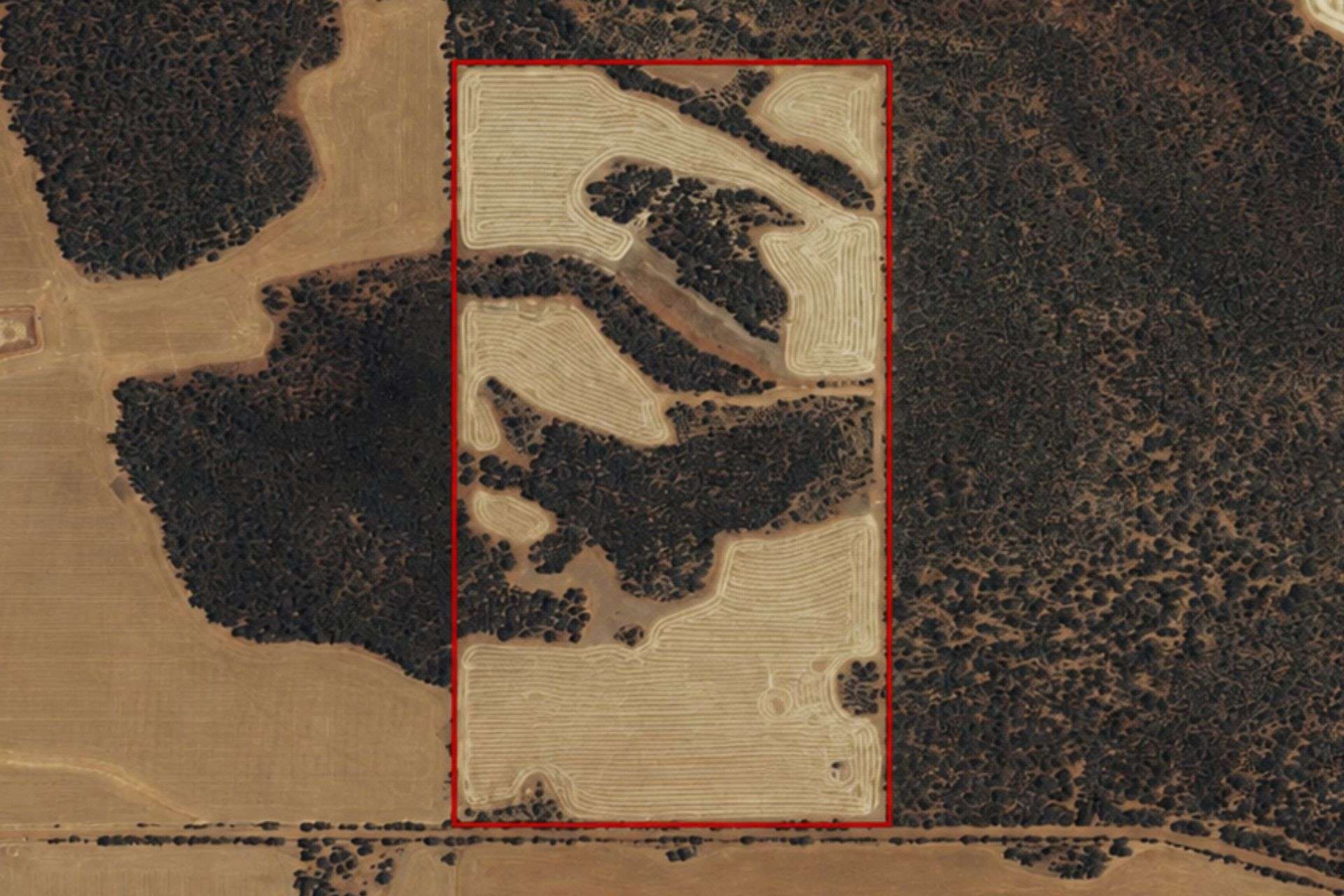 3042 Wilding Road, Wongan Hills For Sale by Farmbuy.com - image 9