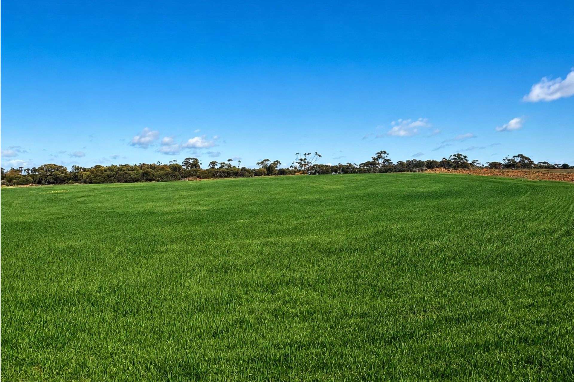 3042 Wilding Road, Wongan Hills For Sale by Farmbuy.com - image 4
