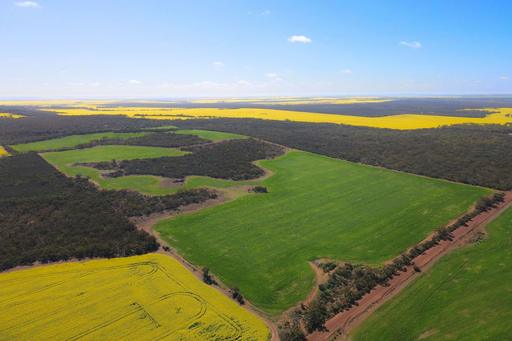 3042 Wilding Road, Wongan Hills WA 6603