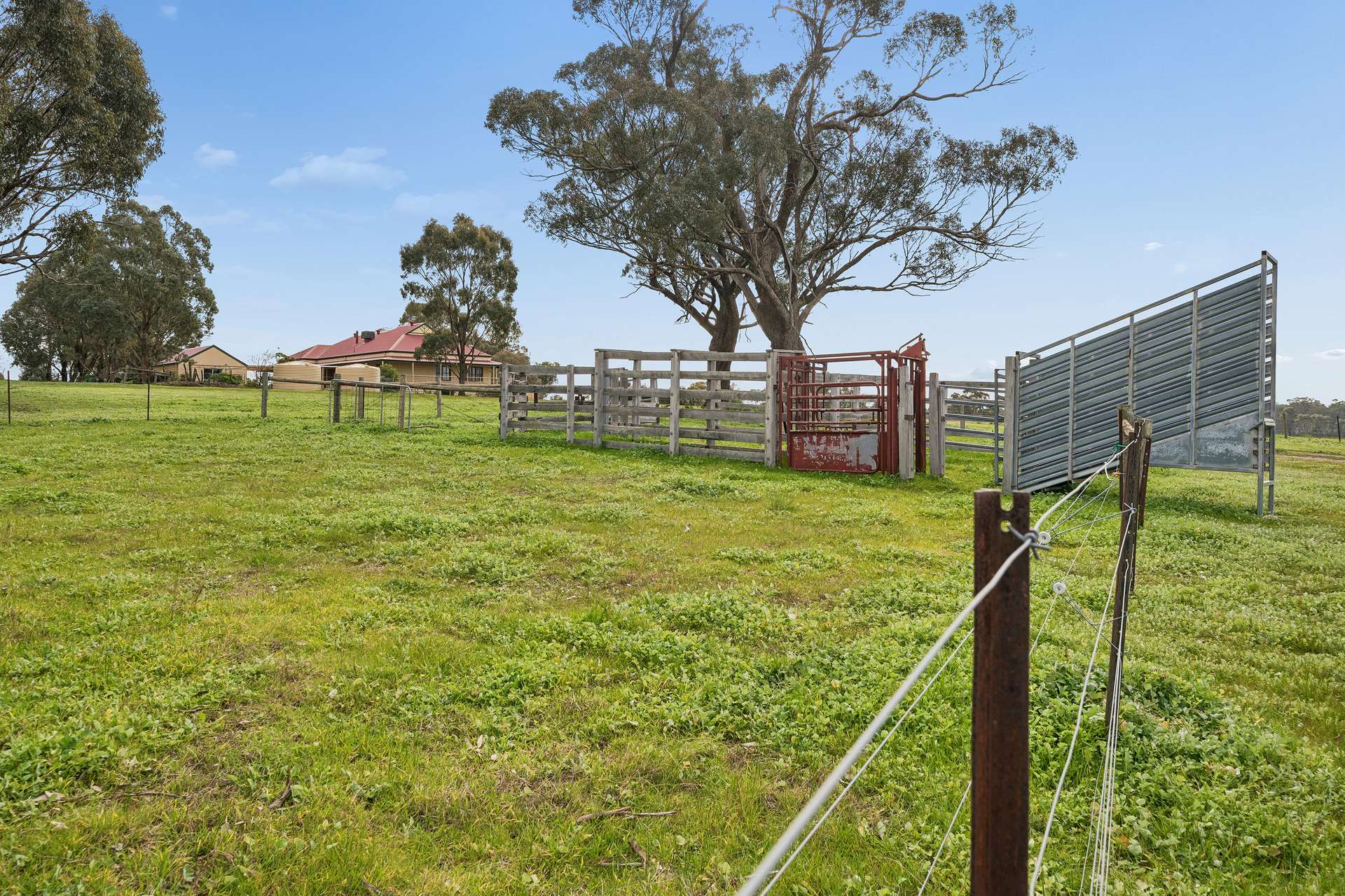 48 Murchison-Goulburn Weir Road, Murchison Auction by Farmbuy.com - image 23