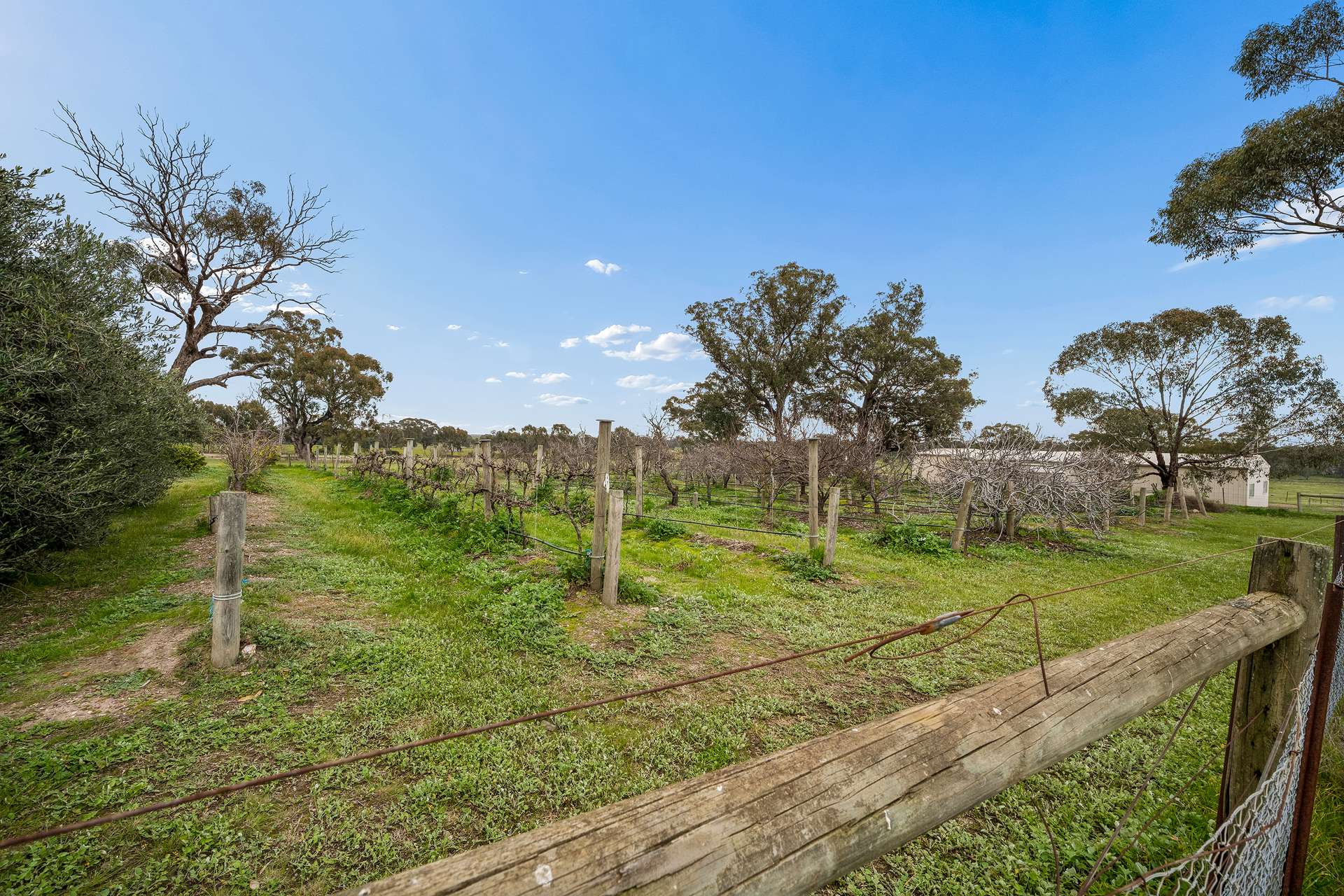 48 Murchison-Goulburn Weir Road, Murchison Auction by Farmbuy.com - image 22