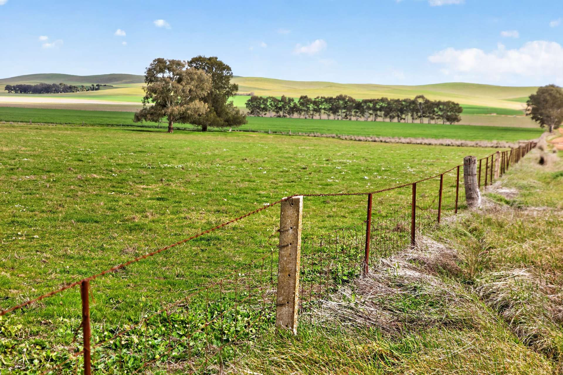 'Farrell Flat Block' Booborowie Road, Farrell Flat Auction by Farmbuy.com - image 13