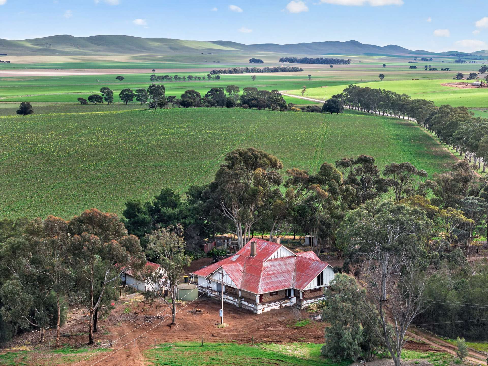 'Farrell Flat Block' Booborowie Road, Farrell Flat Auction by Farmbuy.com - image 15