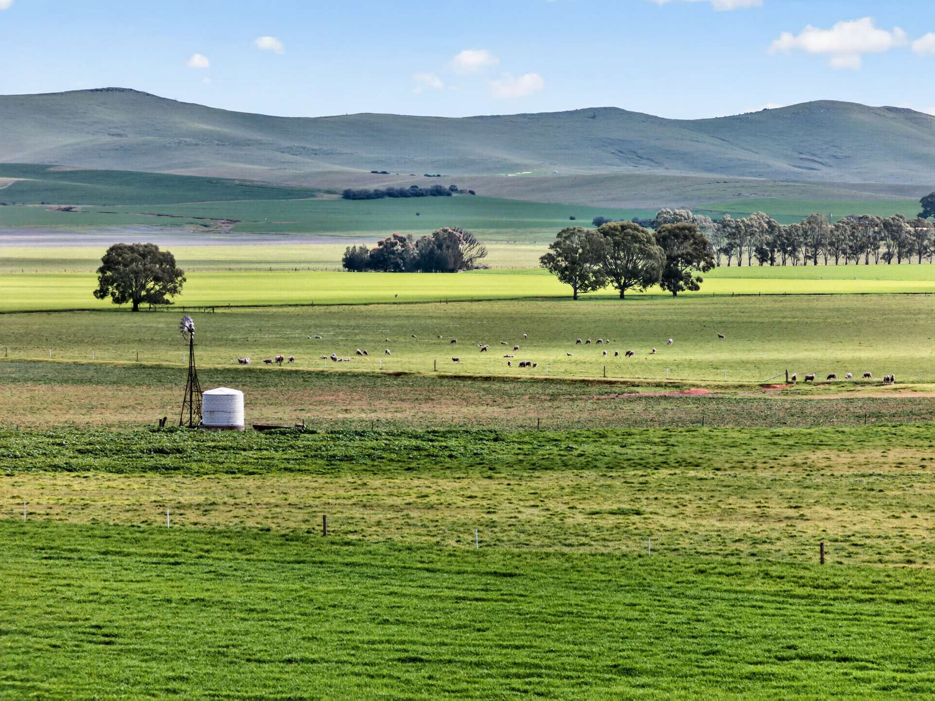 'Farrell Flat Block' Booborowie Road, Farrell Flat Auction by Farmbuy.com - image 10