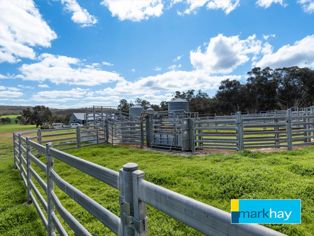 833 Gunapin Ridge Road, York For Sale by Farmbuy.com - image 16