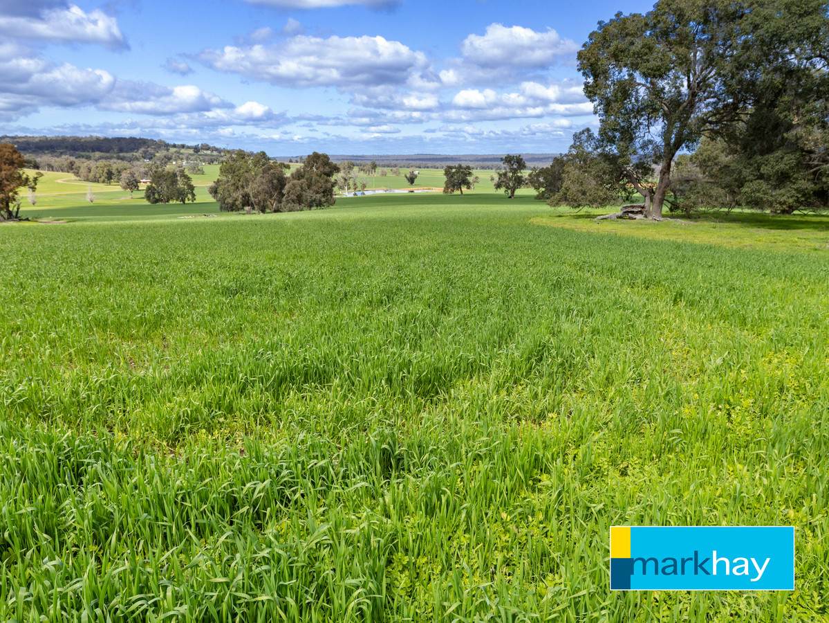 833 Gunapin Ridge Road, York For Sale by Farmbuy.com - image 11