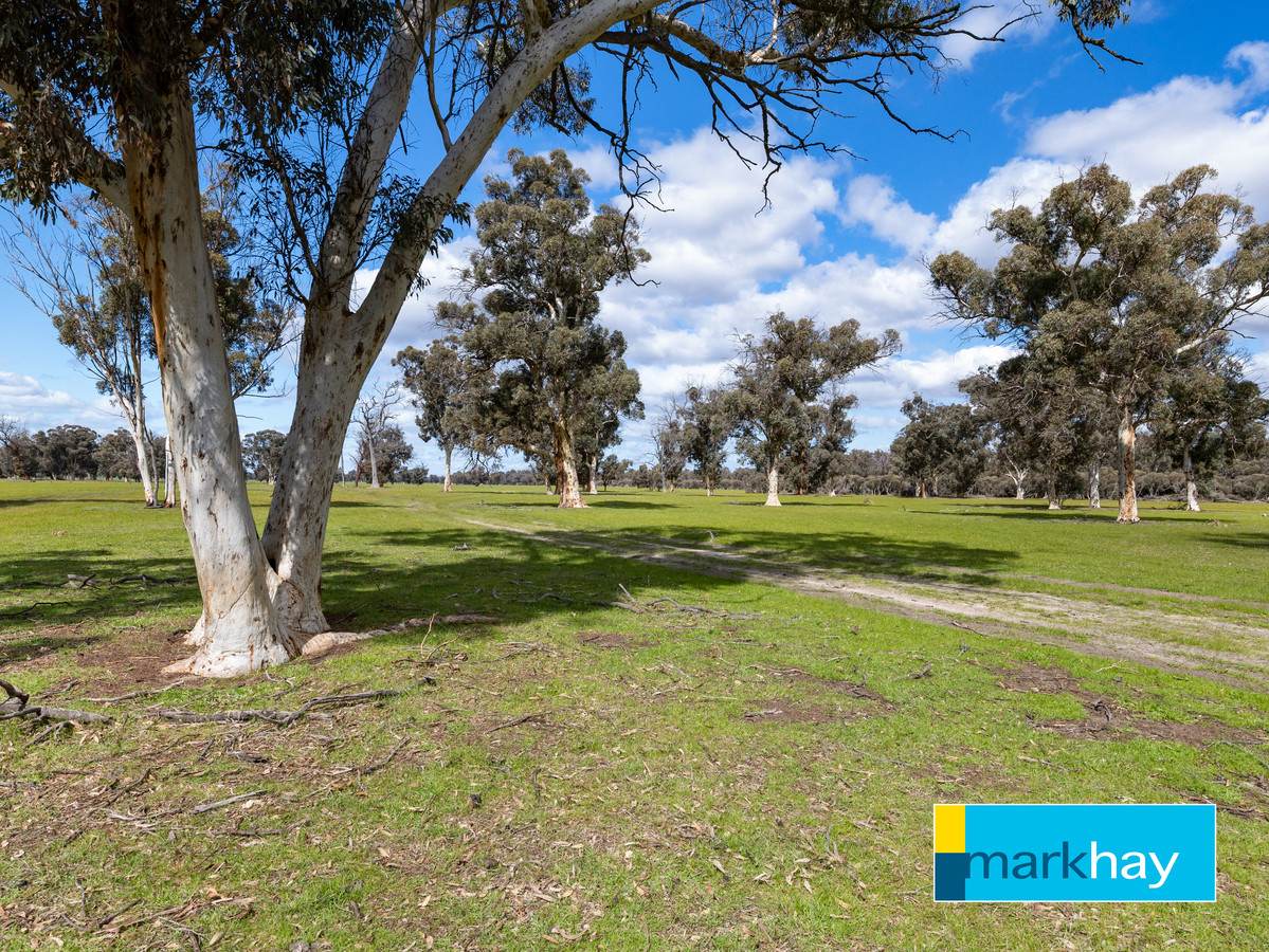 833 Gunapin Ridge Road, York For Sale by Farmbuy.com - image 12