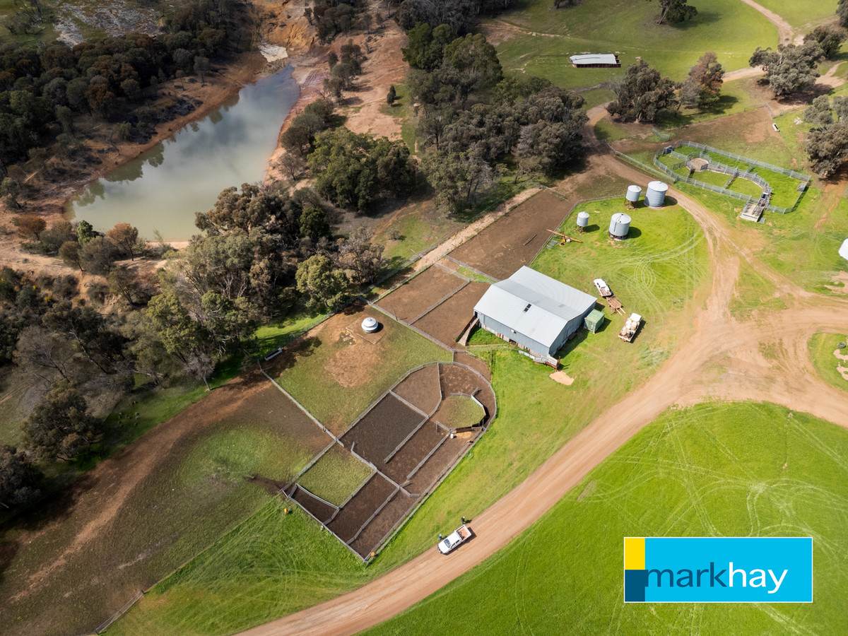 833 Gunapin Ridge Road, York For Sale by Farmbuy.com - image 14