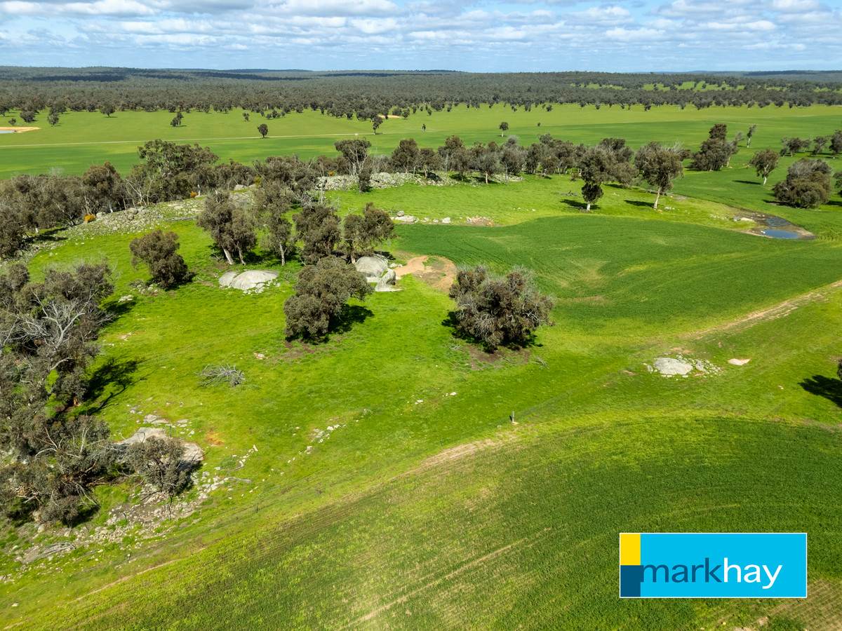 833 Gunapin Ridge Road, York For Sale by Farmbuy.com - image 10