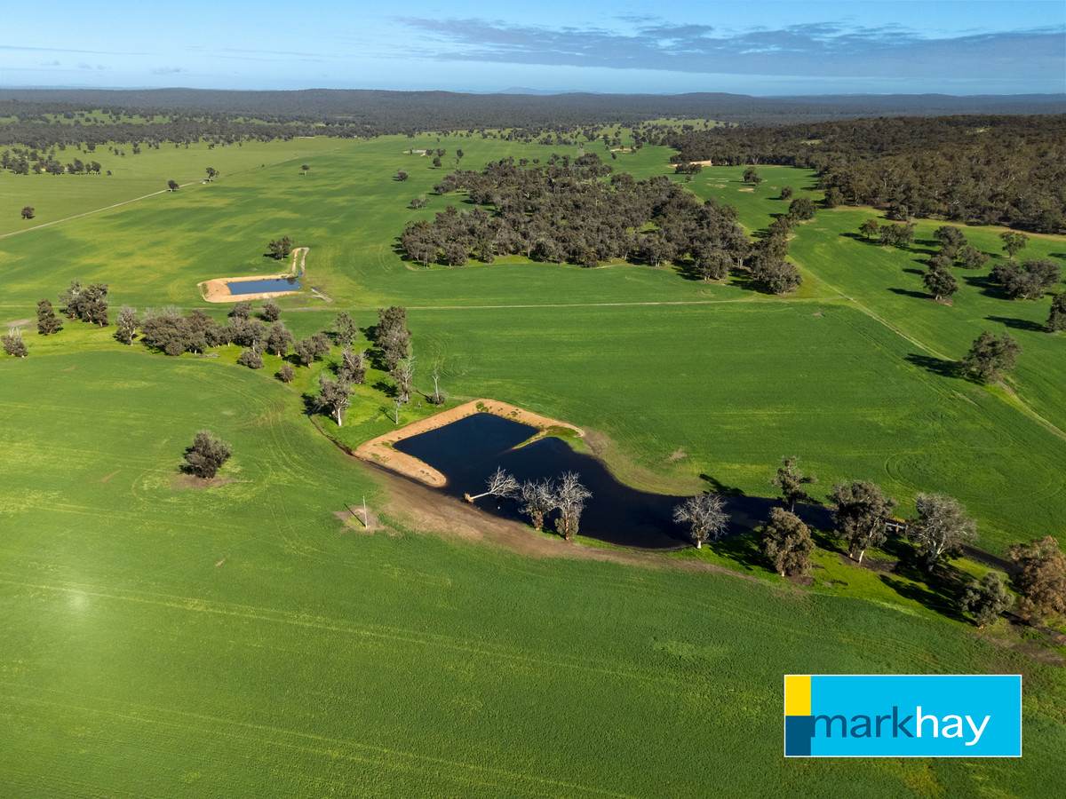 833 Gunapin Ridge Road, York For Sale by Farmbuy.com - image 9