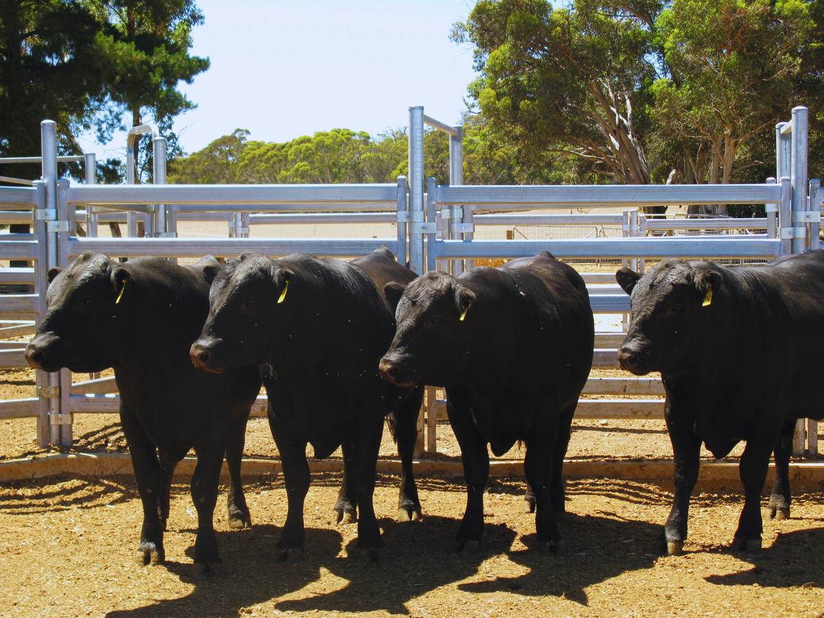 833 Gunapin Ridge Road, York For Sale by Farmbuy.com - image 17