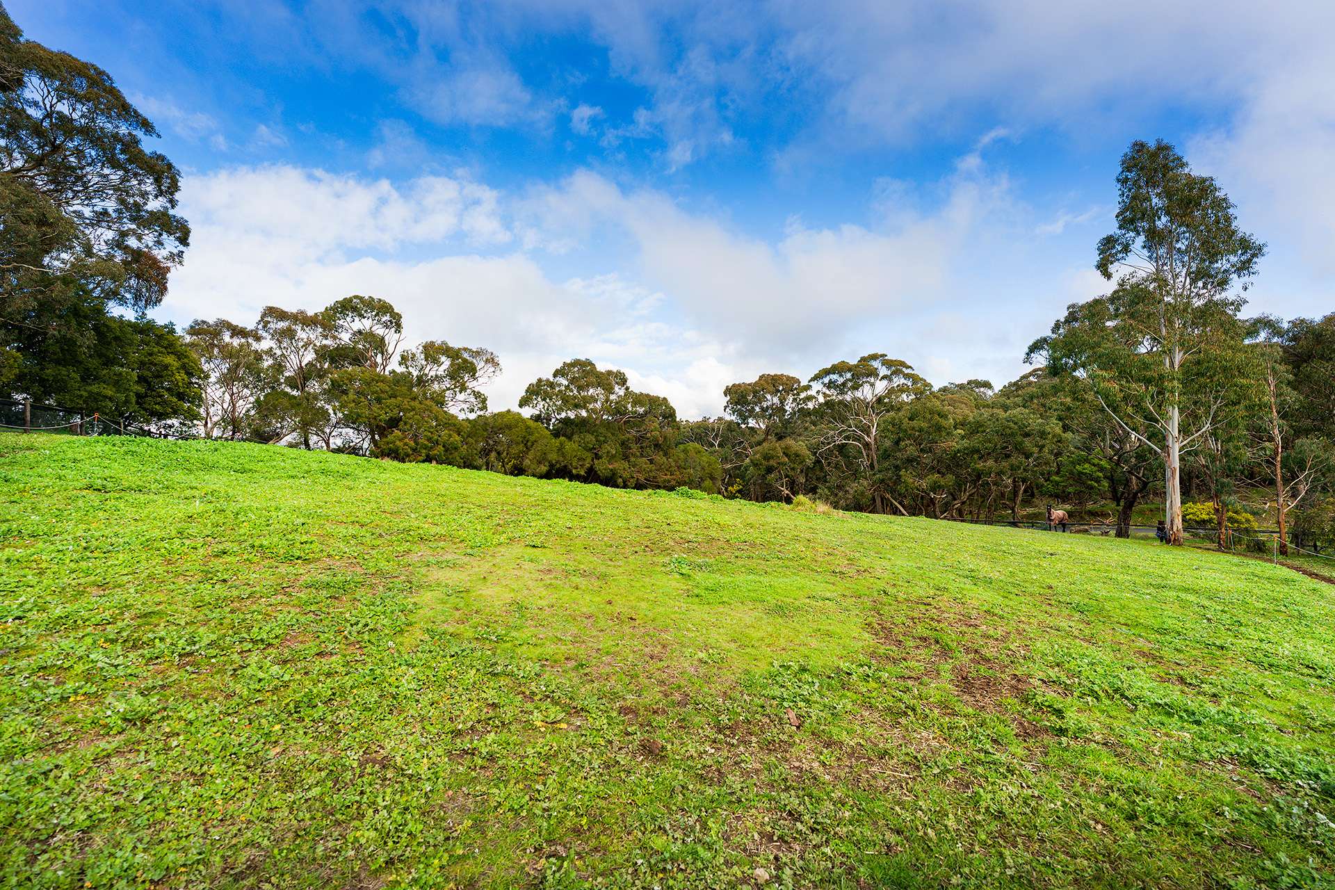 91 Wright Street, Elphinstone For Sale by Farmbuy.com - image 17