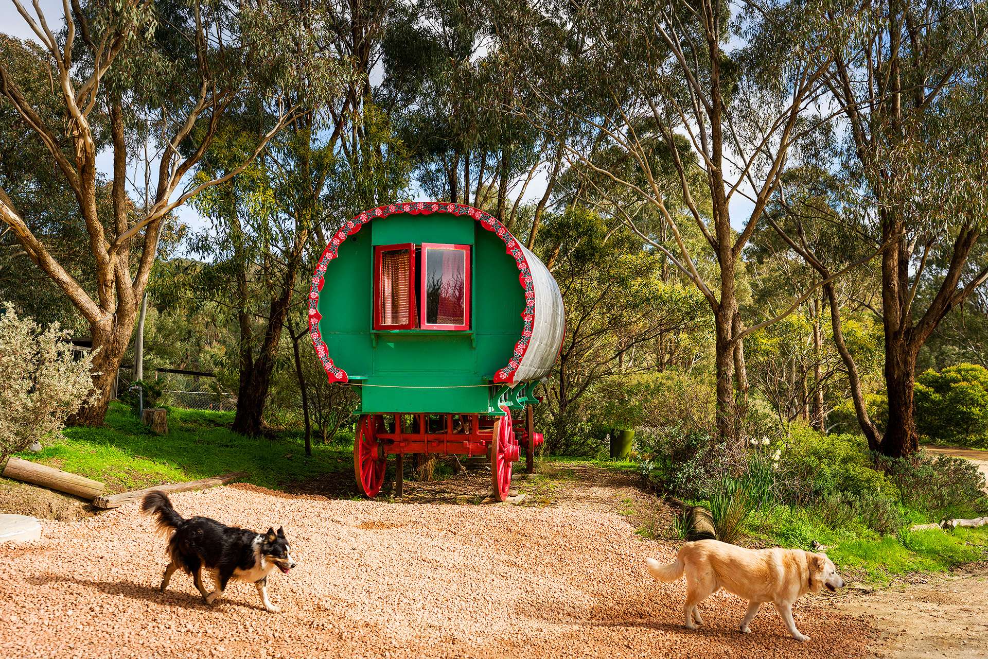 91 Wright Street, Elphinstone For Sale by Farmbuy.com - image 19